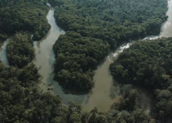 Governo federal lança programa para reforçar segurança na Amazônia Legal, com foco no combate ao crime organizado, proteção de territórios indígenas e cooperação internacional.