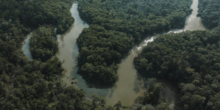 Governo federal lança programa para reforçar segurança na Amazônia Legal, com foco no combate ao crime organizado, proteção de territórios indígenas e cooperação internacional.