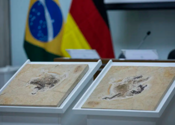 Brasil negocia a devolução de fósseis e bens culturais em 14 países, em ações que envolvem diplomacia, ciência e combate ao chamado colonialismo científico.