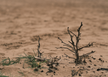 Pesquisa inédita mostra que a maioria dos brasileiros já percebe efeitos das mudanças climáticas e apoia transformações na economia e na transição energética.