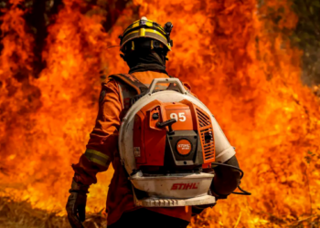 Supremo Tribunal Federal determina que governo federal e estados da Amazônia Legal apresentem plano de combate às queimadas em até 10 dias após alertas de seca e intensificação do El Niño.