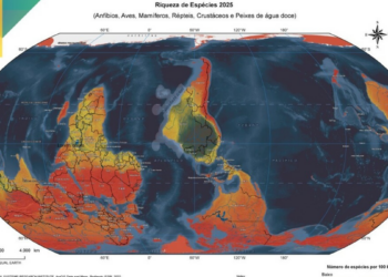 IBGE apresenta mapa-múndi inédito que reposiciona o Brasil e o Sul Global no centro do mundo, além de novas publicações oficiais sobre biodiversidade e estatísticas do país.