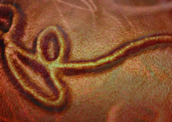 Surto de Ebola na República Democrática do Congo já soma 17 mortes e mais de mil suspeitas. OMS alerta para emergência global e países reforçam vigilância.