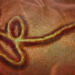 Surto de Ebola na República Democrática do Congo já soma 17 mortes e mais de mil suspeitas. OMS alerta para emergência global e países reforçam vigilância.