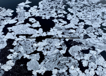 Degelo na Antártica ameaça o equilíbrio climático e pode provocar impactos em cidades costeiras e frentes frias.