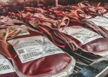 Junho Vermelho destaca a importância da doação de sangue no Brasil. Uma única bolsa pode beneficiar até quatro pessoas e ajudar a manter os estoques dos hemocentros.