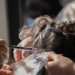 Expo Hair RJ 2026 acontece em São Gonçalo com entrada gratuita mediante doação de alimentos. Evento reúne profissionais da beleza, cursos, workshops e oportunidades de negócios.
