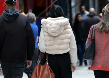 El Niño está se intensificando, mas massas de ar frio ainda podem derrubar as temperaturas no Brasil. Entenda por que os dois fenômenos podem coexistir.