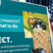 Estados Unidos confirmam novos casos da mosca-da-bicheira do Novo Mundo após décadas sem registros. Autoridades intensificam medidas de controle para proteger a pecuária.