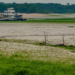 Projeções indicam até 80% de chance de um Super El Niño entre 2026 e 2027, com impactos no clima do Brasil, incluindo chuvas intensas no Sul e seca no Norte e Nordeste.