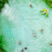  Jalapão se destaca entre os destinos de ecoturismo mais buscados do Brasil e reforça crescimento do turismo sustentável no Tocantins.