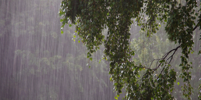 Inmet prevê chuvas e temporais em áreas do Sul, Sudeste e Centro-Oeste nesta sexta (12), com risco de ventos fortes, granizo e descargas elétricas.