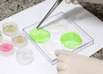 Pesquisadores da Embrapa avançam no desenvolvimento de carne cultivada em laboratório, com protótipos de frango, salmão e embutidos produzidos por biotecnologia celular.