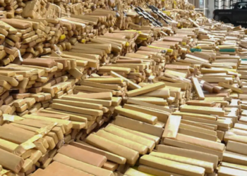 Programa Brasil Contra o Crime Organizado apreendeu 82,5 toneladas de drogas e realizou quase 8 mil prisões em apenas um mês de operações integradas.