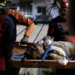 Brasil articula envio de ajuda humanitária à Venezuela após terremotos de até 7,5 graus. Governo negocia envio de insumos médicos e apoio emergencial com OPAS.