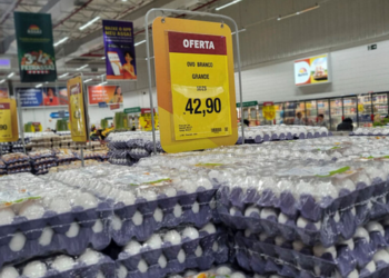 Pesquisa do Dieese mostra alta da cesta básica em 26 capitais e aponta que o salário mínimo necessário para uma família de quatro pessoas deveria ser de R$ 7.999,44.