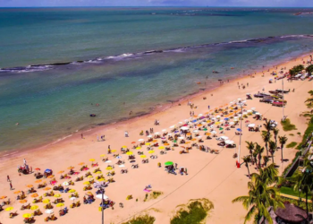 Jovem de 19 anos é atacada por tubarão na praia de Boa Viagem, no Recife. Vítima sofreu amputação e segue internada em estado grave após cirurgia de emergência.