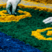 Corpus Christi 2026 terá regras diferentes no Brasil, com feriado ou ponto facultativo variando por estado e município, afetando serviços públicos e relações de trabalho.