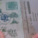 Jardim Botânico do Rio de Janeiro lança nova fase do passaporte interativo com trilhas guiadas, recompensas exclusivas e atividades voltadas à educação ambiental.