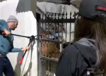 Polícia Civil do Rio investiga grupo suspeito de aplicar golpes contra servidores do TCE-RJ. Quadrilha usava falsos advogados e cobrava pagamentos antecipados por Pix.