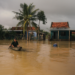 Efeitos do El Niño levam 240 municípios a decretar emergência no Brasil. Prejuízos chegam a R$ 3,5 bilhões e mais de 500 mil pessoas foram afetadas.