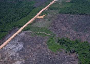  Governo regulamenta a 5ª rodada do Eco Invest Brasil, com foco em inovação, descarbonização, energia, minerais críticos e indústria sustentável.