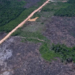 Governo regulamenta a 5ª rodada do Eco Invest Brasil, com foco em inovação, descarbonização, energia, minerais críticos e indústria sustentável.