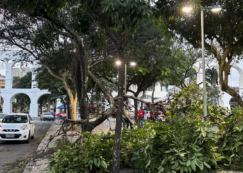 Ventania com rajadas de 105,5 km/h provoca quedas de árvores, falta de energia e problemas no transporte no Rio de Janeiro nesta quarta-feira (29).