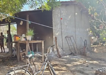 Fiscalização resgata 89 trabalhadores em condições degradantes em fazendas de café na Zona da Mata de Minas Gerais e cobra direitos trabalhistas.