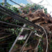 Moradores do Rio podem pedir ressarcimento por aparelhos danificados e alimentos perdidos após falta de energia provocada pelos fortes ventos.