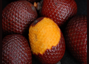 Miriti atravessa gerações em Abaetetuba e ganha novas versões na gastronomia, fortalecendo a cultura amazônica e a geração de renda no Pará.