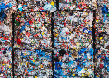 Pesquisa mostra que 39% dos brasileiros nunca ouviram falar em economia circular. Levantamento aponta desafios para reciclagem, consumo consciente e educação ambiental.