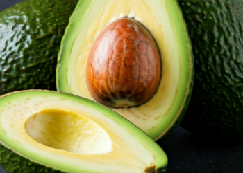 Estudo aponta que consumir um abacate por dia pode reduzir partículas de colesterol LDL e contribuir para a saúde cardiovascular de adultos com obesidade.