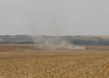 Estudo do WRI Brasil aponta que a integração de sistemas de rastreabilidade pode ampliar a transparência nas cadeias de soja e carne bovina e combater o desmatamento.