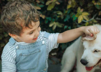 Pesquisa com 368 bebês encontrou associação entre convivência com cães e menor frequência de infecções, febre e uso de antibióticos.