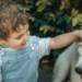 Pesquisa com 368 bebês encontrou associação entre convivência com cães e menor frequência de infecções, febre e uso de antibióticos.