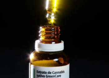 Importações de cannabis medicinal autorizadas pela Anvisa cresceram 29% no primeiro semestre de 2026, chegando a 116.372 pedidos.