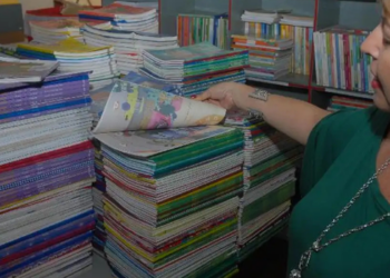 Escolas públicas têm até 8 de setembro para escolher os livros do PNLD que serão utilizados pelos alunos dos anos iniciais do ensino fundamental entre 2027 e 2030.
