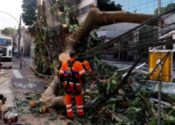 Estados do Sudeste intensificam ações preventivas diante da previsão de ventos fortes provocados por frente fria associada a um ciclone-bomba no Atlântico. Defesa Civil emite alertas e municípios suspendem aulas.