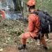 Helicóptero cai em área de mata na Vista Chinesa, no Rio, e deixa quatro mortos. Bombeiros atuaram no resgate e controlaram incêndio no local.