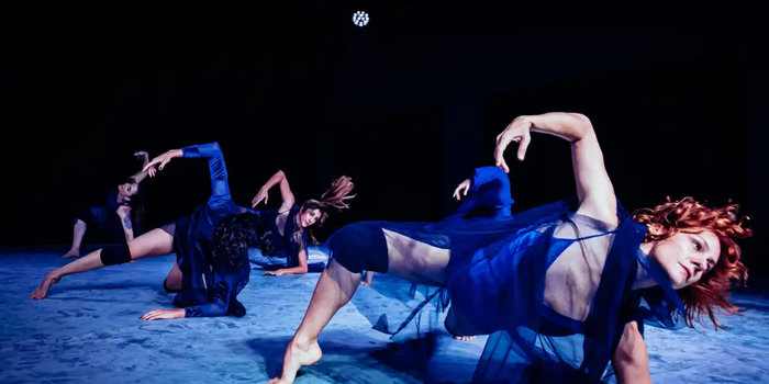 Festival Dança em Trânsito chega à 24ª edição no Rio com artistas brasileiros e estrangeiros, espetáculos, encontros e atrações gratuitas.