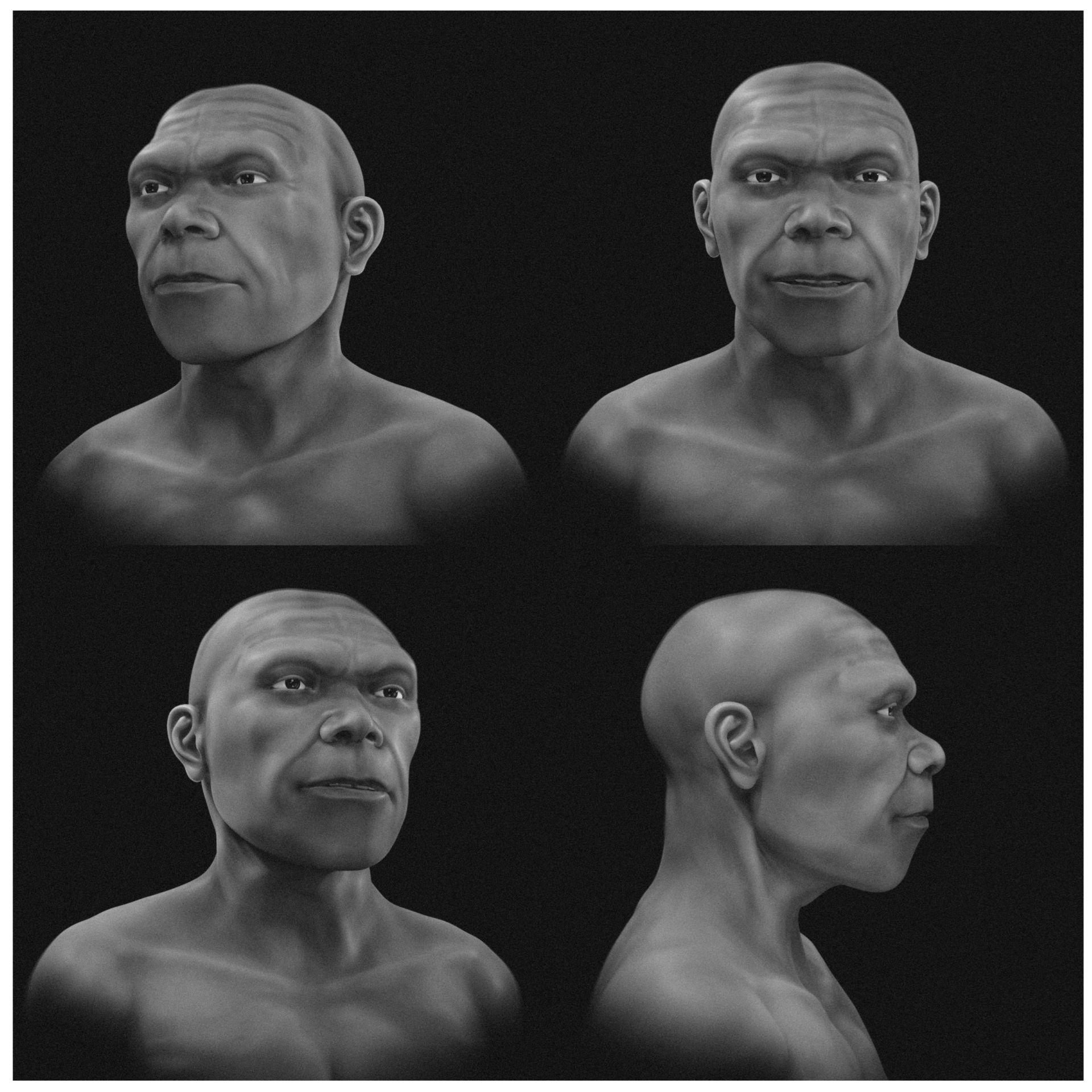 Representação facial aproximada apresentada em tons de cinza e sem cabelo ou pelos faciais.Moraes C, Varotto E, Habicht ME, Galassi FM, Moura L, Abdullah JY. Heritage. 2026; 9(9):369