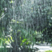 Frente fria provoca chuva e queda nas temperaturas no Rio de Janeiro no início da primavera. Veja a previsão para os próximos dias.