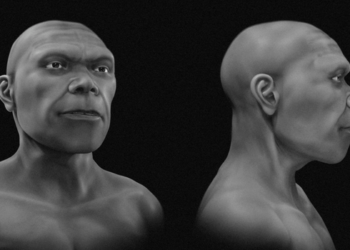 Reconstrução digital liderada por Cicero Moraes mostra uma possível aparência de Homo sapiens de Jebel Irhoud, no Marrocos, há cerca de 315 mil anos.