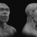 Reconstrução digital liderada por Cicero Moraes mostra uma possível aparência de Homo sapiens de Jebel Irhoud, no Marrocos, há cerca de 315 mil anos.