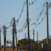 Prefeitura do Rio e forças de segurança ampliam operações contra ferros-velhos suspeitos de receptação após furtos de cabos provocarem prejuízo superior a R$ 69 milhões.