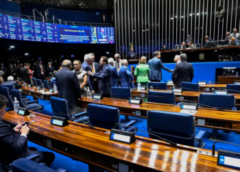 Nas eleições de 2026, brasileiros votarão em dois candidatos ao Senado. Entenda como funciona a eleição, o sistema majoritário e as funções dos senadores.