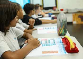 Professores da educação básica pública podem concorrer a mais de 8 mil vagas gratuitas de mestrado e doutorado. Confira as áreas e programas.