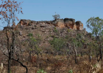 Terras Indígenas preservam cerca de 95% da vegetação nativa do Cerrado e também são fundamentais para a cultura e as tradições dos povos originários.