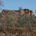 Terras Indígenas preservam cerca de 95% da vegetação nativa do Cerrado e também são fundamentais para a cultura e as tradições dos povos originários.
